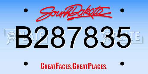 B287835 South Dakota License Plate