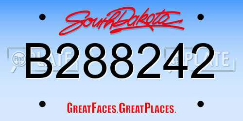 B288242 South Dakota License Plate