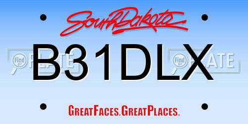 B31DLX South Dakota License Plate
