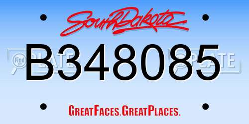 B348085 South Dakota License Plate