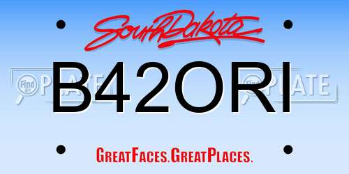 B42ORI South Dakota License Plate