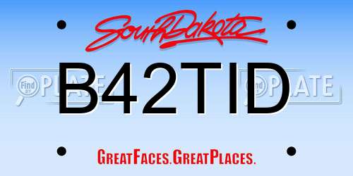 B42TID South Dakota License Plate