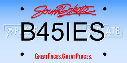 B45IES South Dakota License Plate