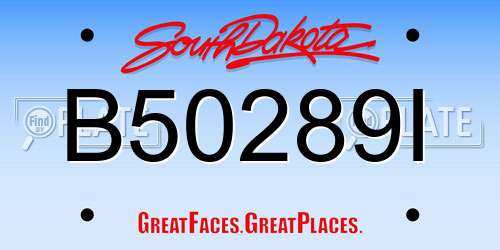 B50289I South Dakota License Plate