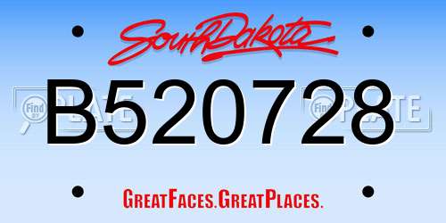 B520728 South Dakota License Plate