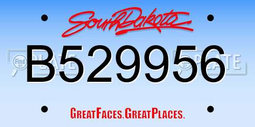 B529956 South Dakota License Plate