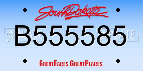 B555585 South Dakota License Plate