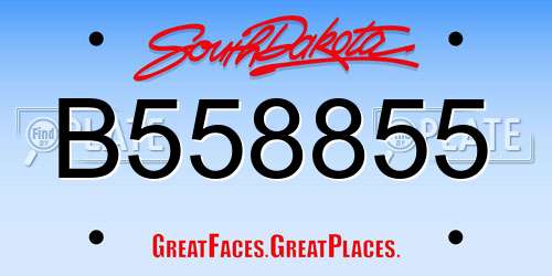 B558855 South Dakota License Plate