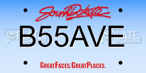 B55AVE South Dakota License Plate