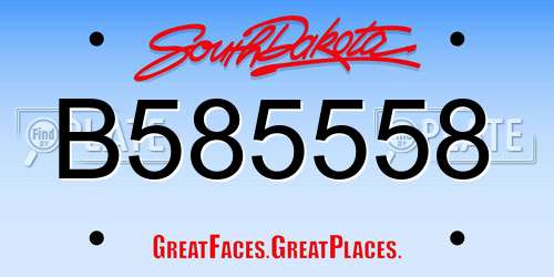 B585558 South Dakota License Plate
