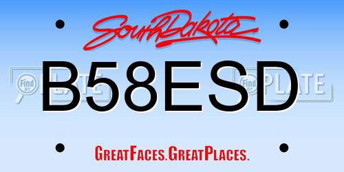 B58ESD South Dakota License Plate