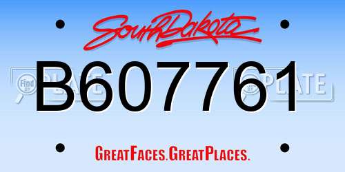 B607761 South Dakota License Plate
