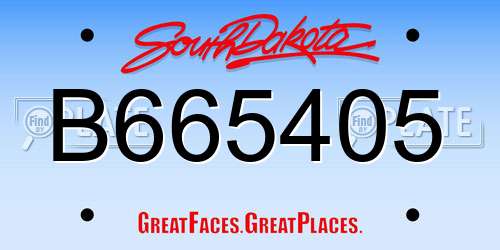 B665405 South Dakota License Plate