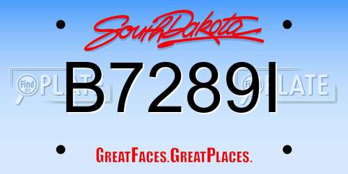 B7289I South Dakota License Plate