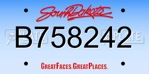 B758242 South Dakota License Plate