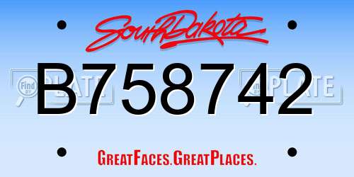 B758742 South Dakota License Plate