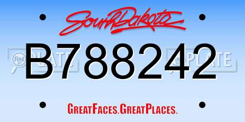 B788242 South Dakota License Plate