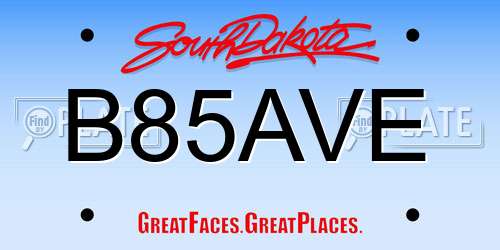 B85AVE South Dakota License Plate