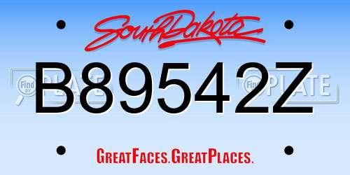 B89542Z South Dakota License Plate
