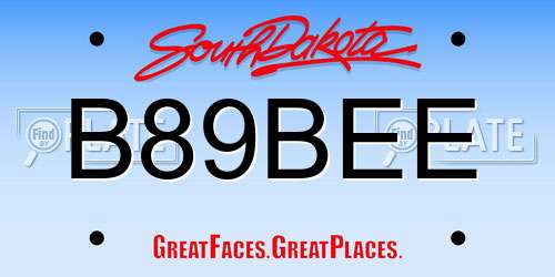 B89BEE South Dakota License Plate