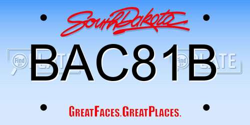 BAC81B South Dakota License Plate