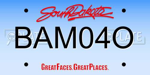 BAM04O South Dakota License Plate
