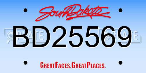 BD25569 South Dakota License Plate