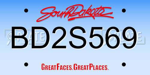 BD2S569 South Dakota License Plate