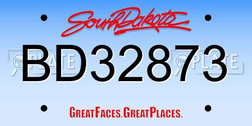 BD32873 South Dakota License Plate