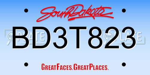 BD3T823 South Dakota License Plate