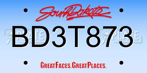 BD3T873 South Dakota License Plate