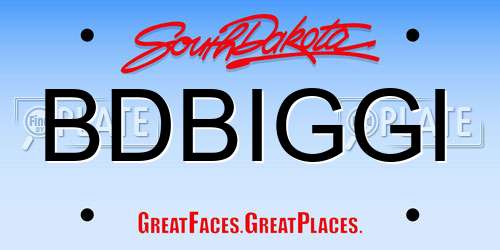 BDBIGGI South Dakota License Plate