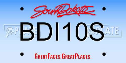 BDI10S South Dakota License Plate