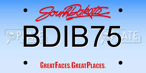 BDIB75 South Dakota License Plate