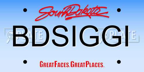 BDSIGGI South Dakota License Plate