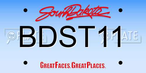BDST11 South Dakota License Plate
