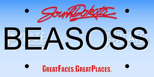 BEASOSS South Dakota License Plate