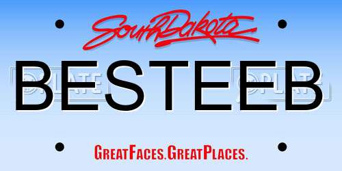 BESTEEB South Dakota License Plate
