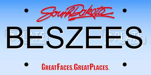 BESZEES South Dakota License Plate