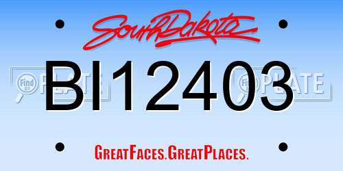 BI12403 South Dakota License Plate