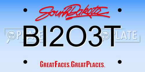 BI2O3T South Dakota License Plate