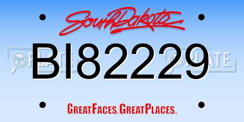 BI82229 South Dakota License Plate