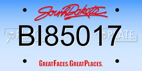 BI85017 South Dakota License Plate