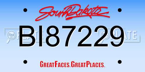 BI87229 South Dakota License Plate
