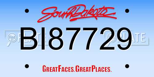 BI87729 South Dakota License Plate