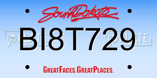 BI8T729 South Dakota License Plate