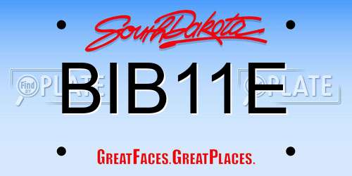 BIB11E South Dakota License Plate