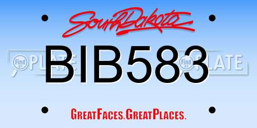 BIB583 South Dakota License Plate