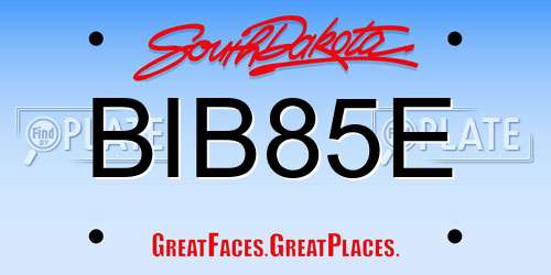 BIB85E South Dakota License Plate