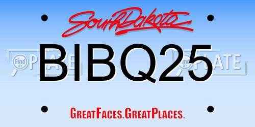 BIBQ25 South Dakota License Plate